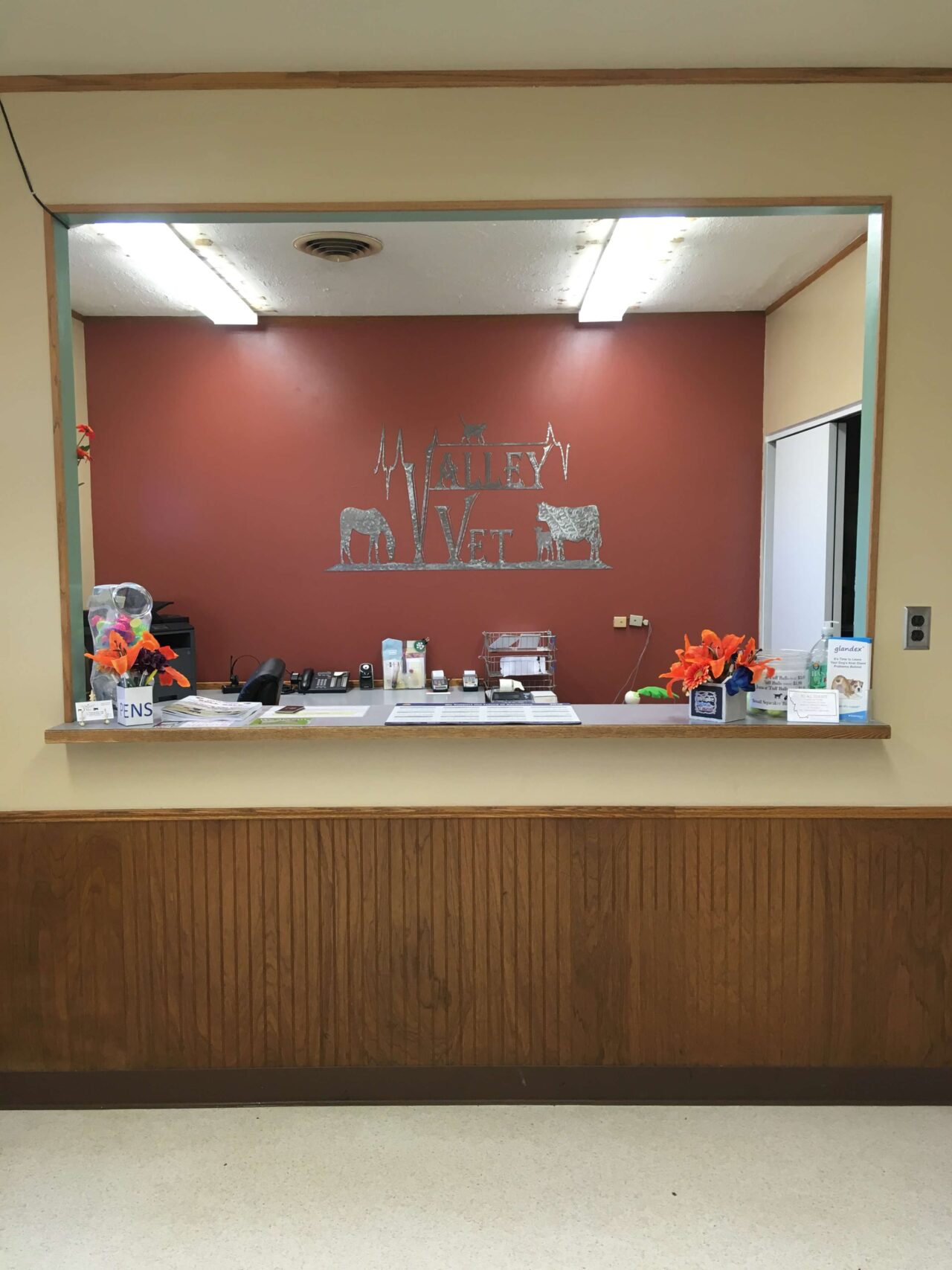 About Valley Veterinary Clinic Of Glasgow Vet In Glasgow